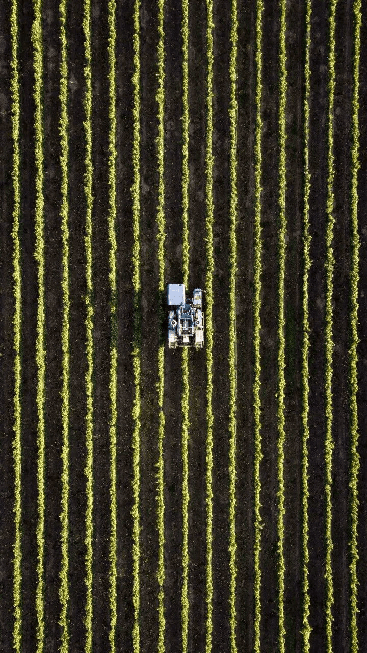 Aerial view of partner farms